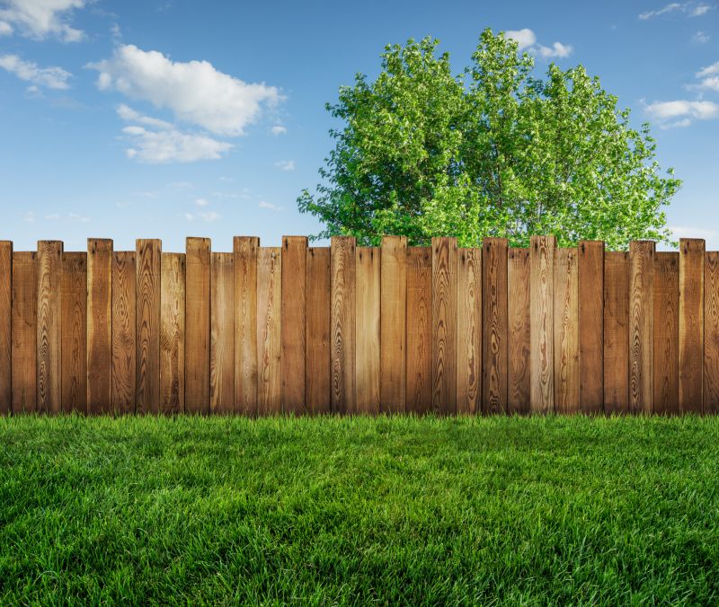 New Wooden Fence